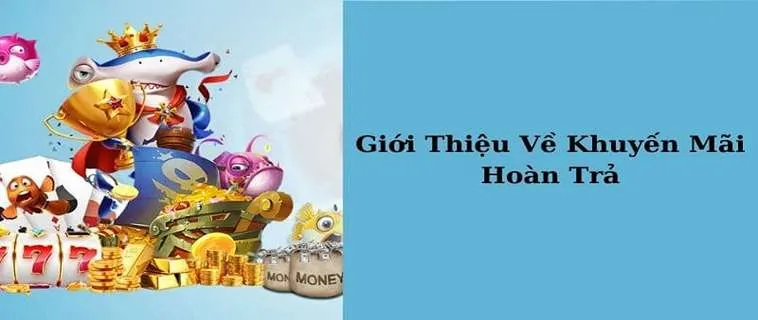 Hoàn Trả Hàng Ngày Tại Nhà Cái M8WIN: Khám Phá Ưu Đãi Hấp Dẫn 2 Hoàn Trả Hàng Ngày Tại Nhà Cái M8WIN: Khám Phá Ưu Đãi Hấp Dẫn