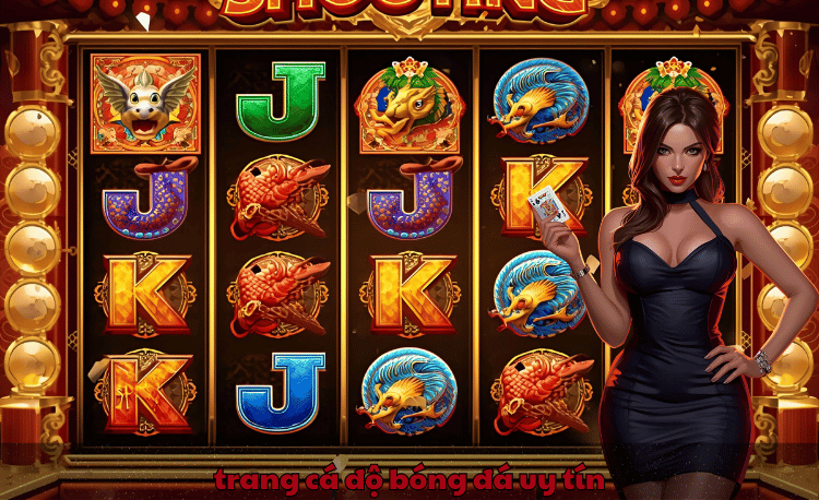 trang cá độ bóng đá uy tín